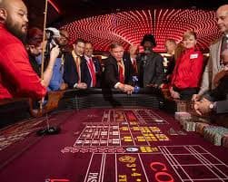 Live Ceme dealer table with multi-camera feed on mangga2bet slot